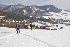 STROM - Lúčka Potoky zima 2015 110